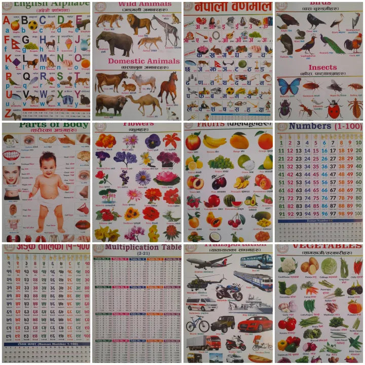 English & Nepali Chart For Kids (12 in 6 Charts ) : Children Spiral Wall Picture Chart