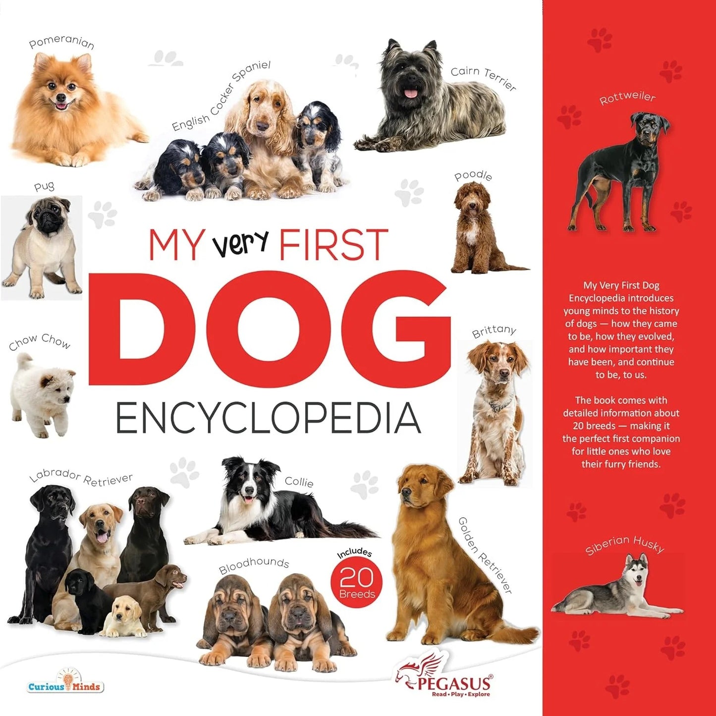 My Very First Dog Encyclopedia Å¸?? A Fun & Engaging Guide to ManÅ¸??s Best Friend