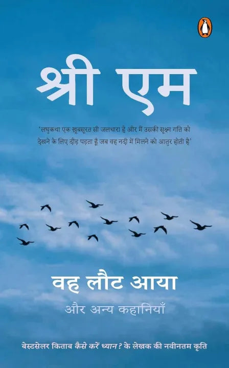 The Homecoming And Other Stories : Hindi Edition (Paperback) By Sri M
