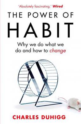 The Power of Habit by Charles Duhigg (high quality)