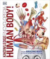 Knowledge Encyclopedia : Human Body! (Paperback) By DK