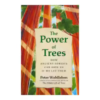 Phulchowki Books The Power of Trees (English, Paperback) By Peter Wohlleben